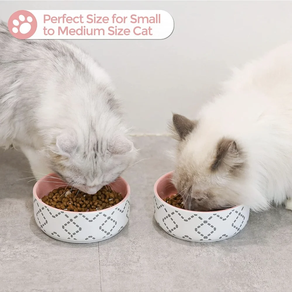 2 Blue or Pink Modern Ceramic Cat Bowl